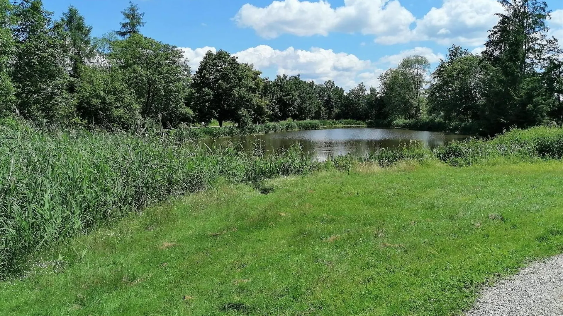 Wellnesshotel Parkschloessl Zu Thyrnau 